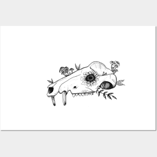 Opossum Skull Design Posters and Art